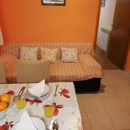 Apartment Brodarica *